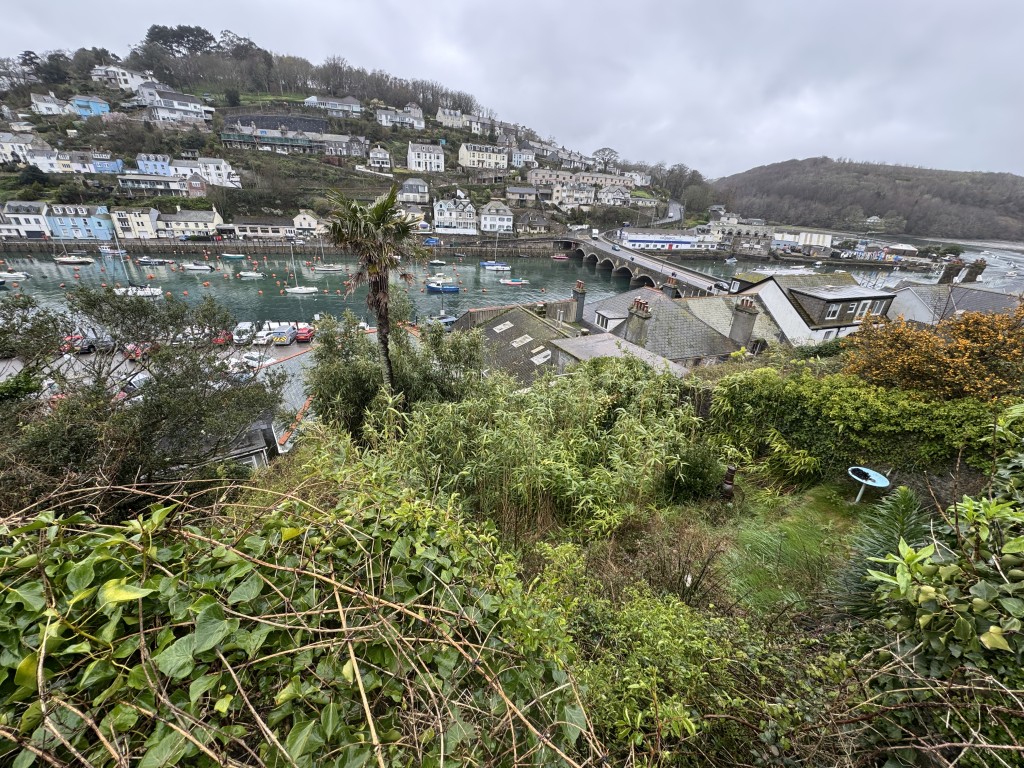 Lot: 45 - FREEHOLD LAND - Land view to the right